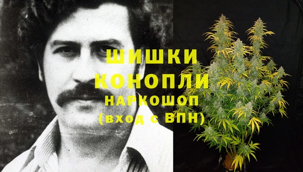 крисы Алзамай
