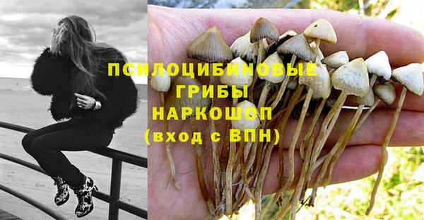 крисы Алзамай