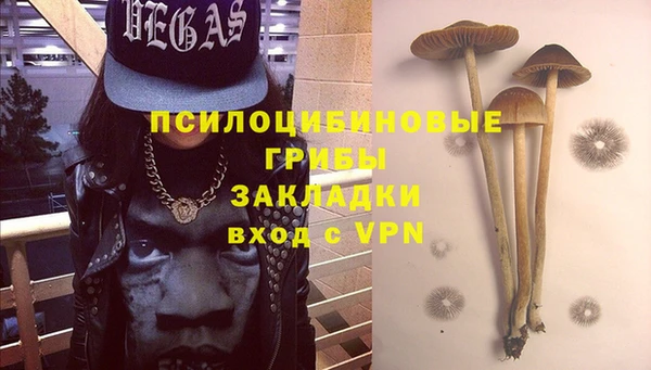 крисы Алзамай
