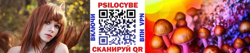 Псилоцибиновые грибы GOLDEN TEACHER  KRAKEN маркетплейс  Сельцо  хочу  